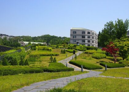 Korea university direct admission application - Study in Korea