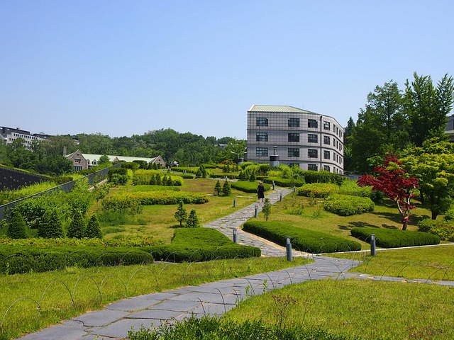 Korea university direct admission application - Study in Korea