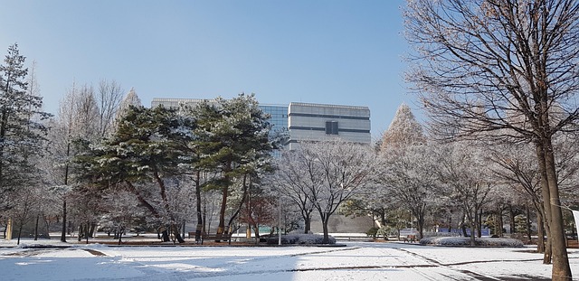 Korea university engineering program foreigner - Study in Korea